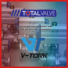 Representative of V-Tork USA