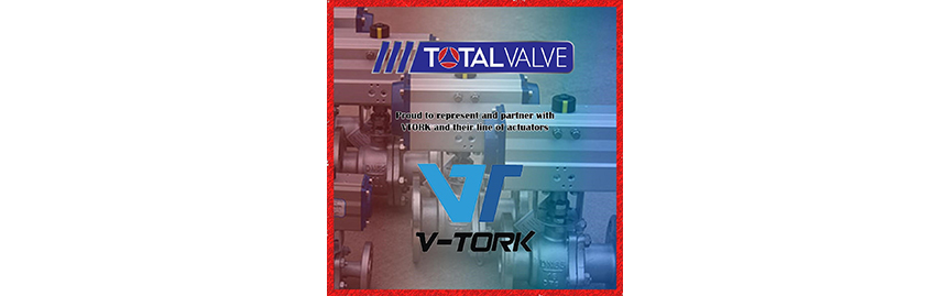 Representative of V-Tork USA