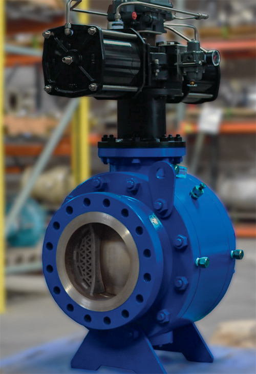 Rotary Control Valves