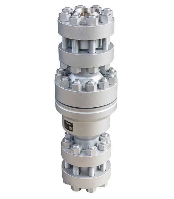 BHDT Check Valves