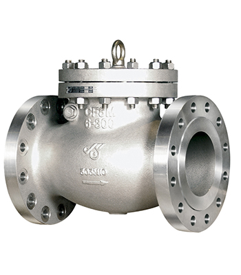 Check Valves