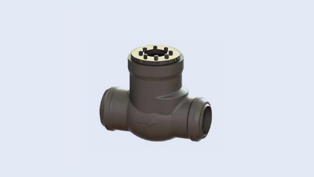 Pacific Pressure Seal Swing Check Valves