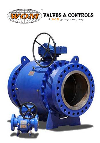 WOM Industrial Valves